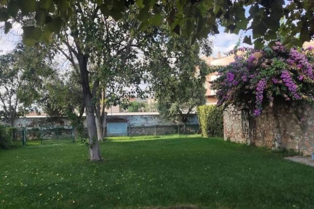 Home Garden Grosseto Exterior photo